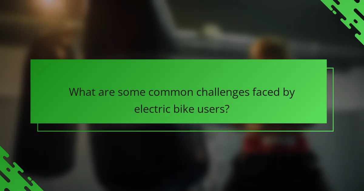 What are some common challenges faced by electric bike users?
