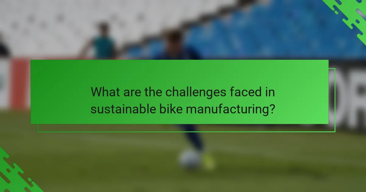 What are the challenges faced in sustainable bike manufacturing?