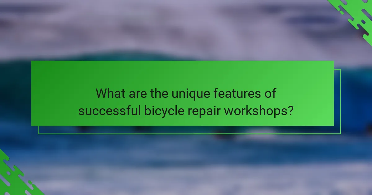 What are the unique features of successful bicycle repair workshops?
