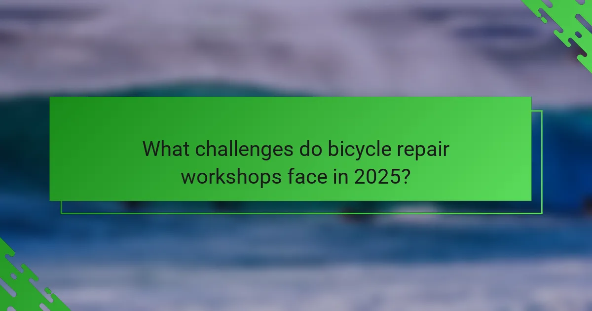 What challenges do bicycle repair workshops face in 2025?