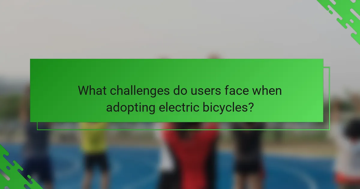 What challenges do users face when adopting electric bicycles?