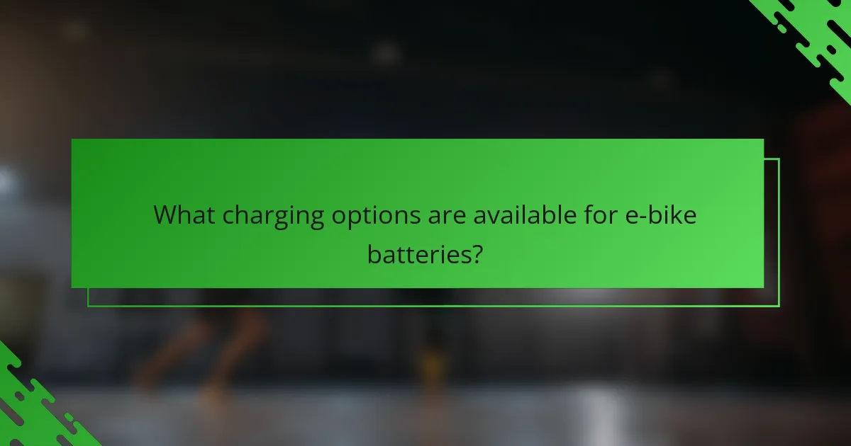 What charging options are available for e-bike batteries?