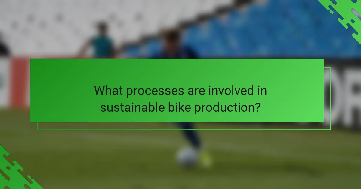 What processes are involved in sustainable bike production?