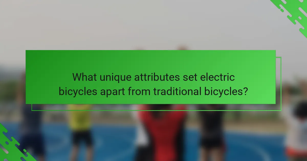 What unique attributes set electric bicycles apart from traditional bicycles?