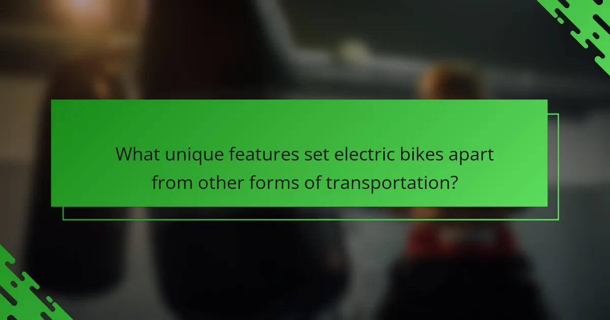 What unique features set electric bikes apart from other forms of transportation?